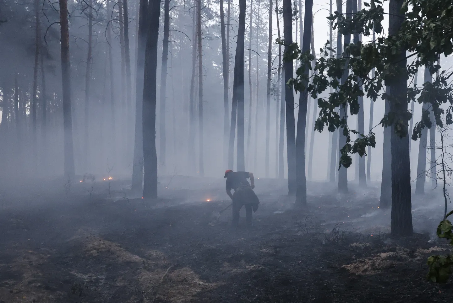 Kustutustööd Ukraina metsas.