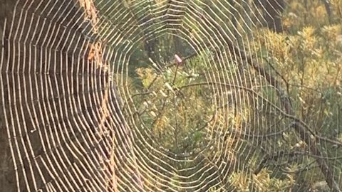 Obiskalci refugeirali pred mušicami, vodnjak pa oživel