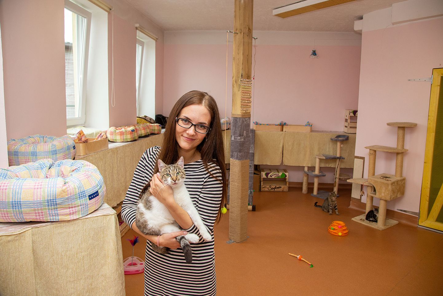 MTÜ Paikass vabatahtlik Virge Piisner sättis Paide hooleta jäänud kassidele valmis uued eluruumid.