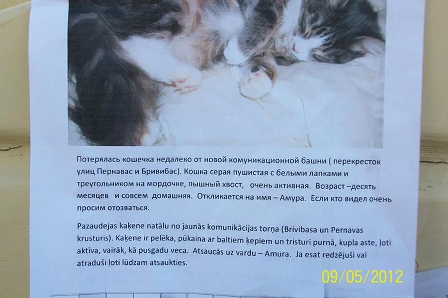 Raksta foto