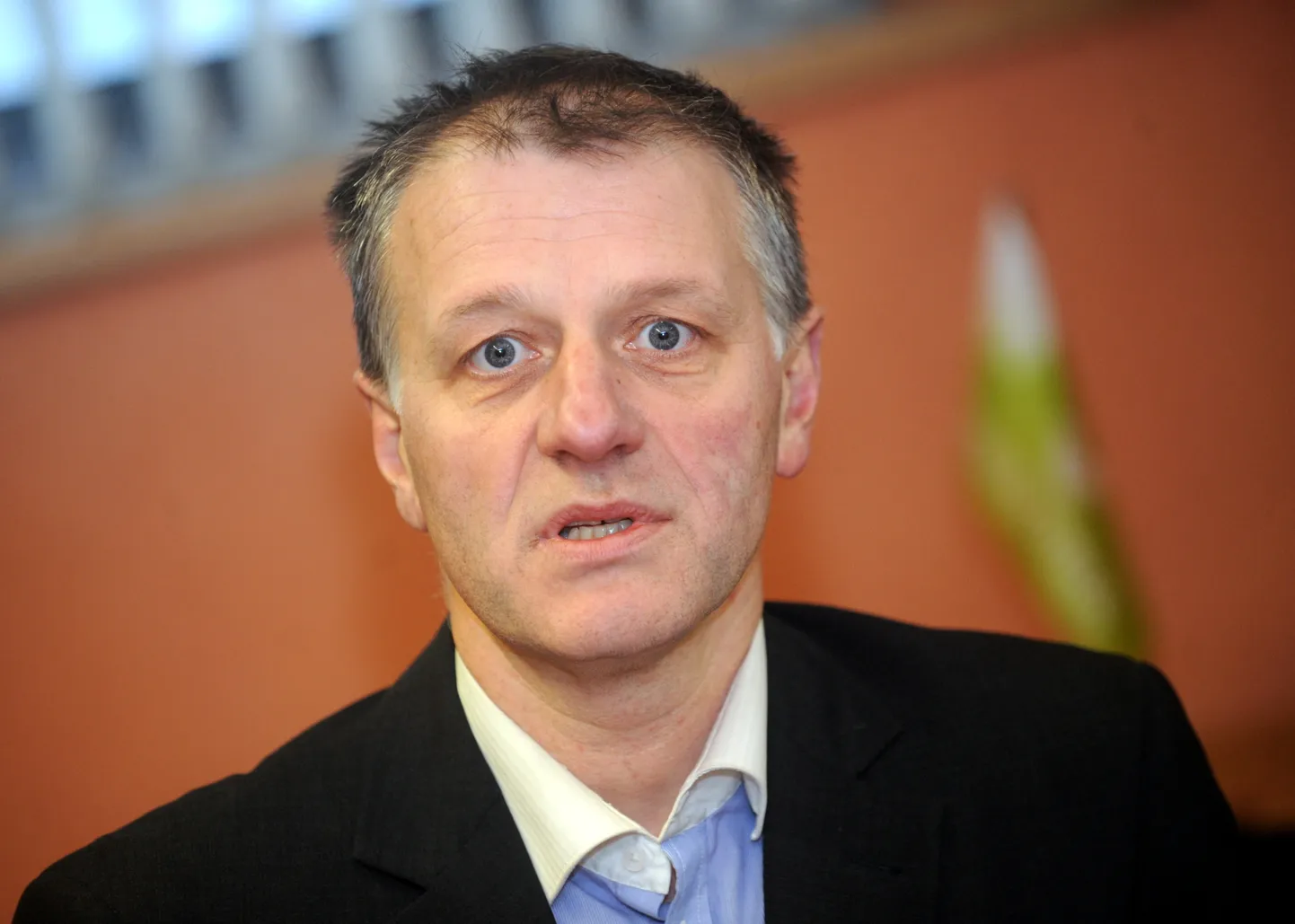 Raksta foto