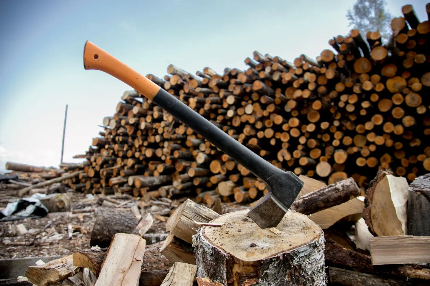 Хорошие запасы древесины на зиму всегда были символом безопасности для сельских жителей. Если у вас есть дрова, вы можете спокойно пережить зиму. Поскольку многие семьи перешли с дровяного отопления на комбинированное, большие объемы заказываются редко, в среднем закупается пять кубометров сырых дров.