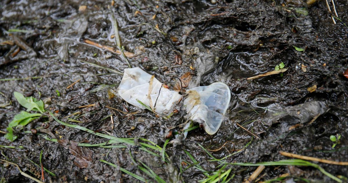 Valingvihma järel purskus kanalisatsioonist haisvat vett