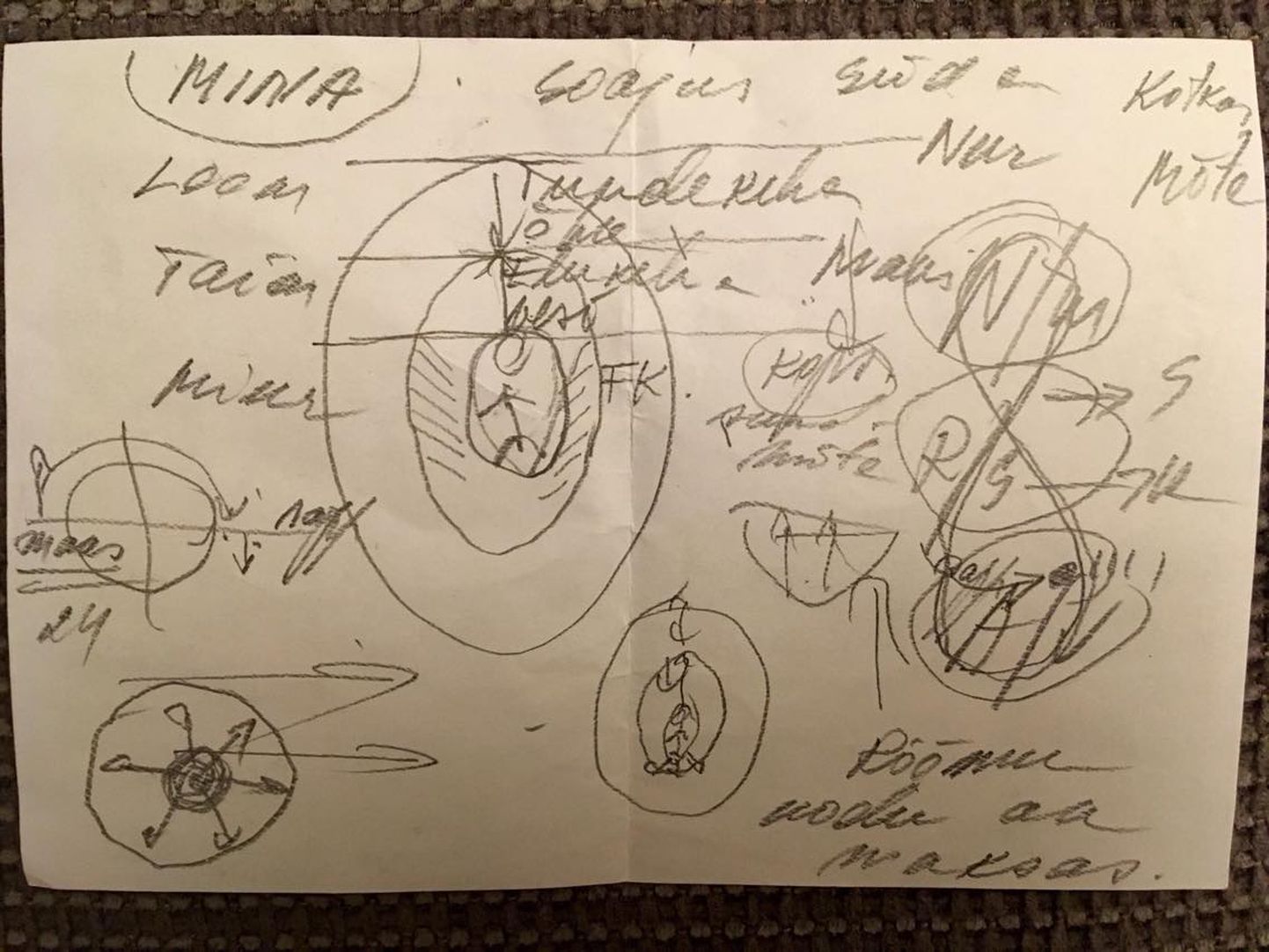 Семейный врач Теллискивиского центра семейной медицины Урве Притс нарисовала пациентке странную схему, под которой в левом углу есть высказываение, что "радость в доме отражается на печени".