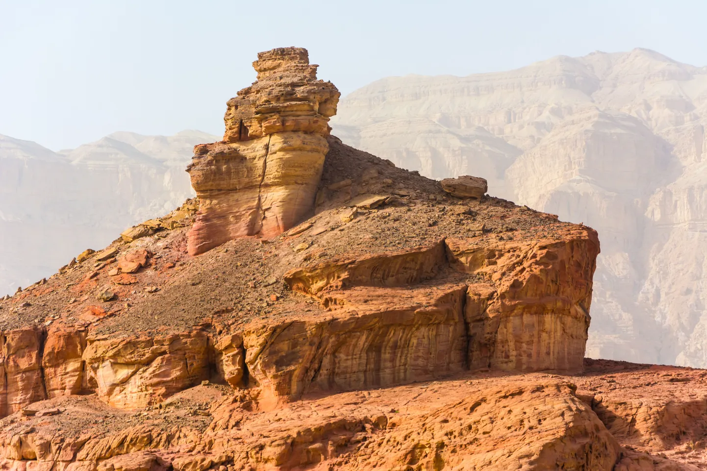 Timna org