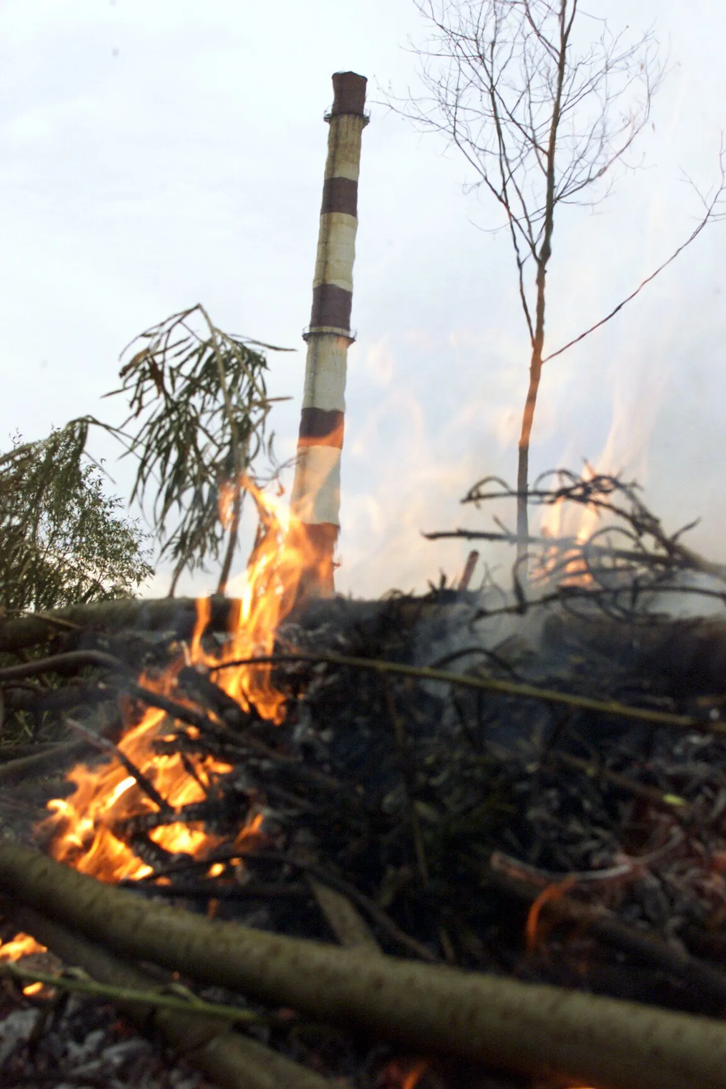 Linnas lõkketegemise keelu vastu patustajaid leidub igal kevadel. Pildil lõke Tartu linnas.