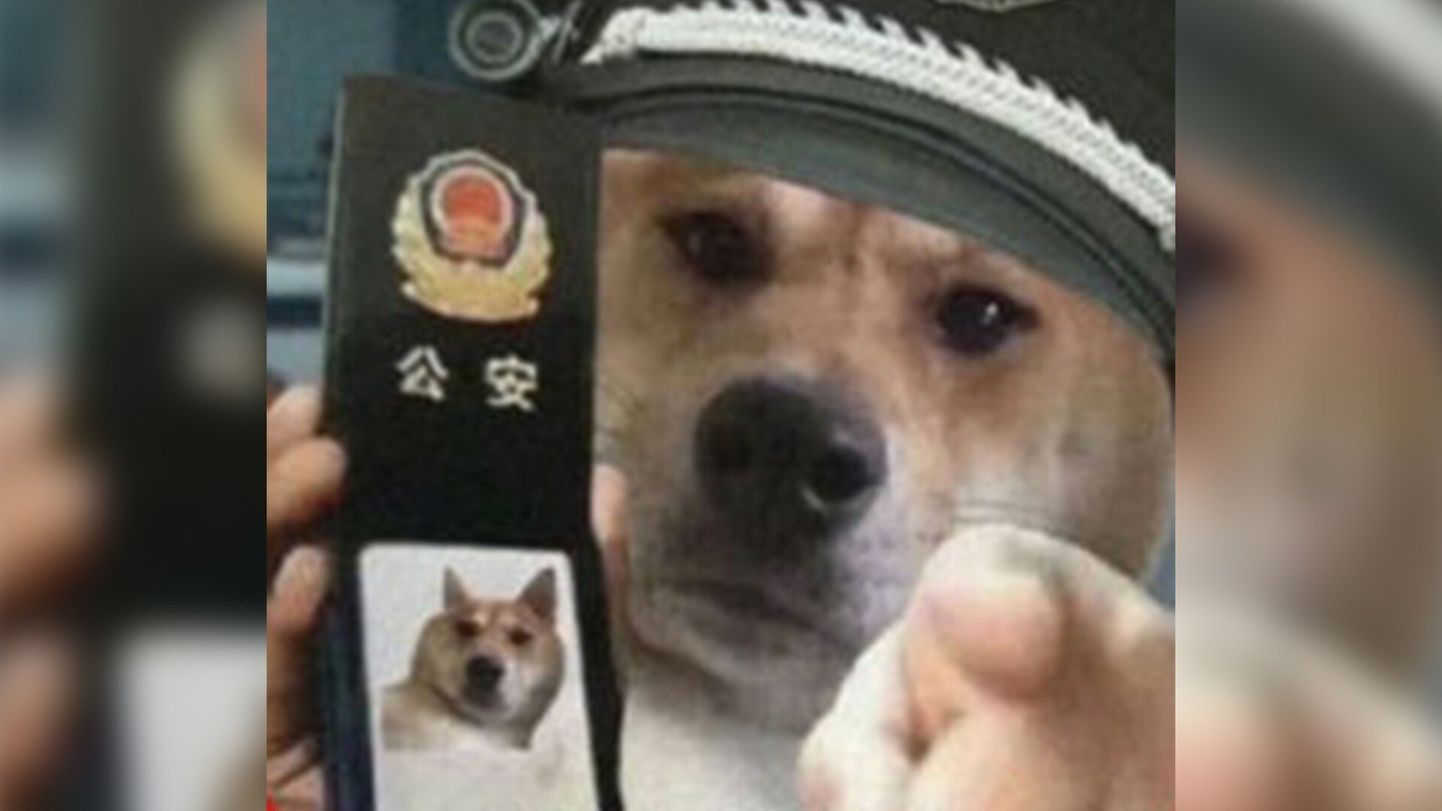 Li pandi üheksaks päevaks vahi alla Hiina politseid koertega võrdlemise eest.