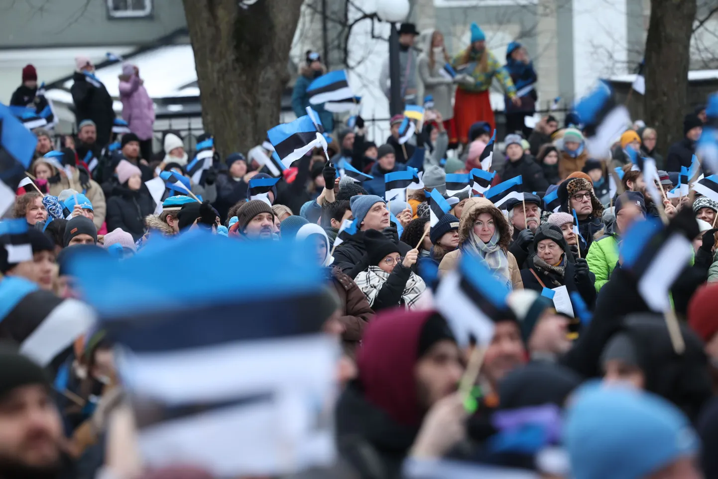 A ceremony for the raising of the national flag took place early on Estonia's Independence Day at the Governor's Garden in Toompea, Tallinn.