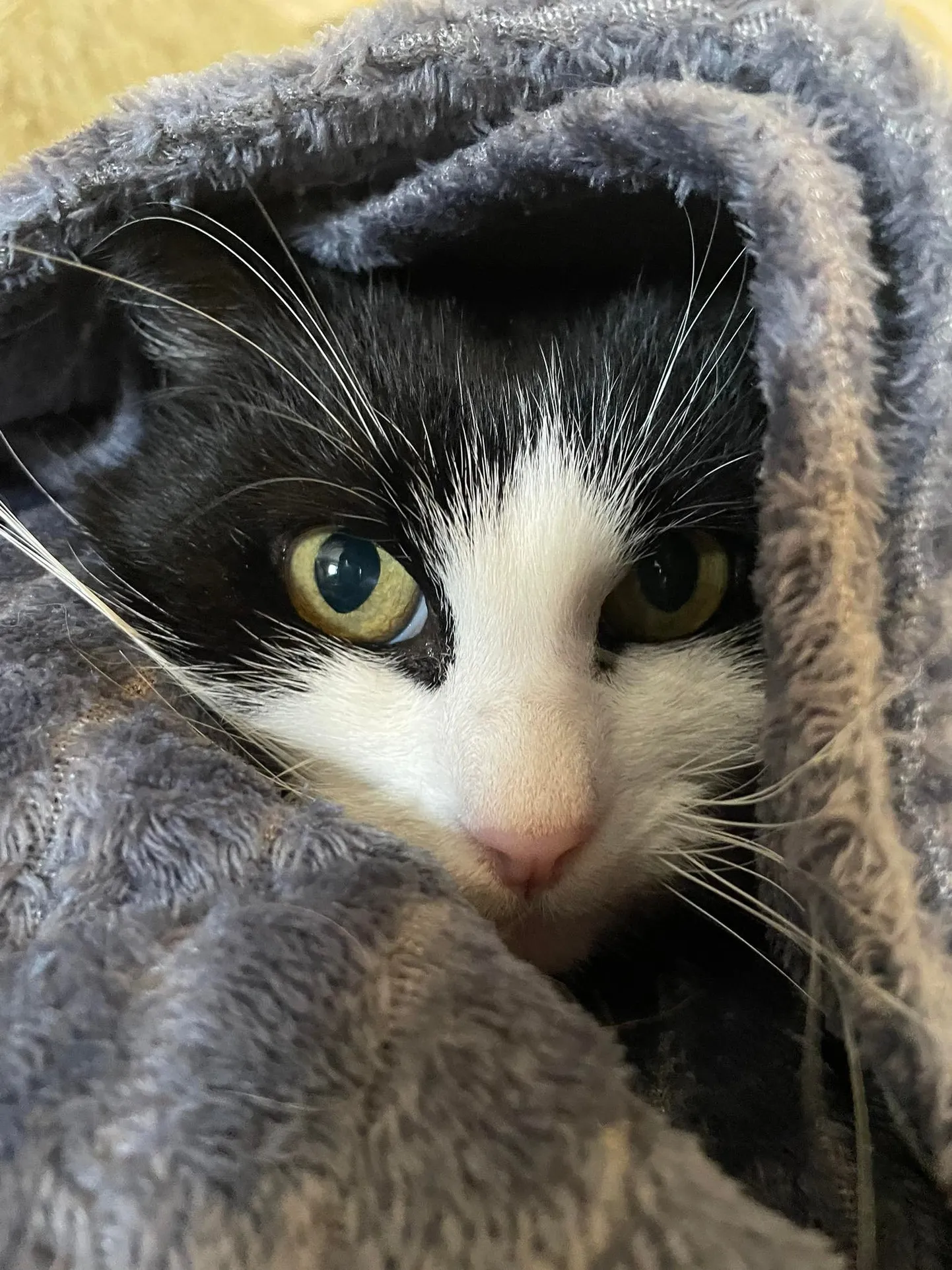 Kiska