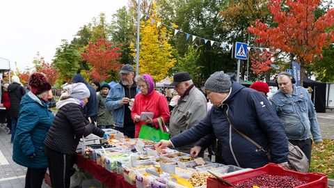 GALERII ⟩ Hooaeg läbi: Rakvere sügislaadal nappis müüjaid ja ega ostjaidki palju polnud