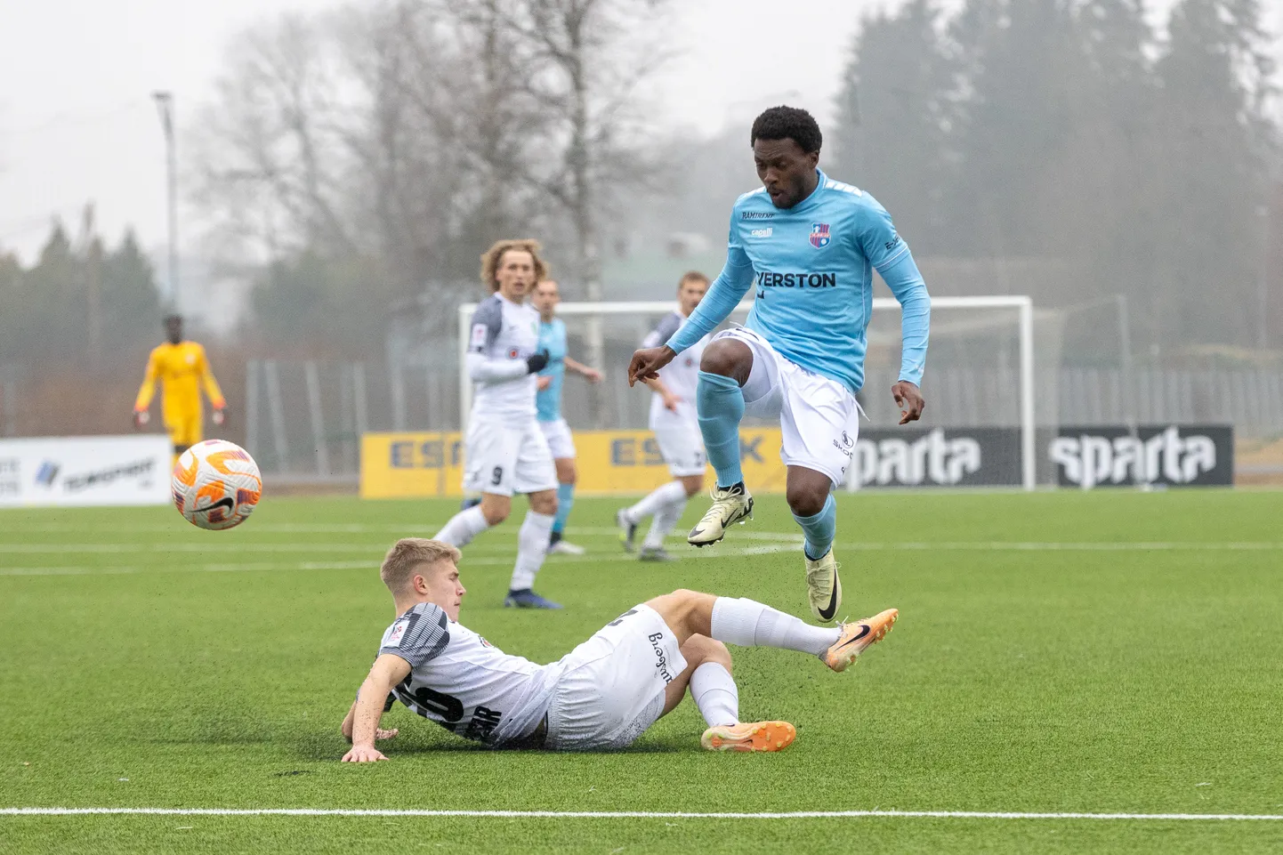 Paide Linnameeskond - FC Flora