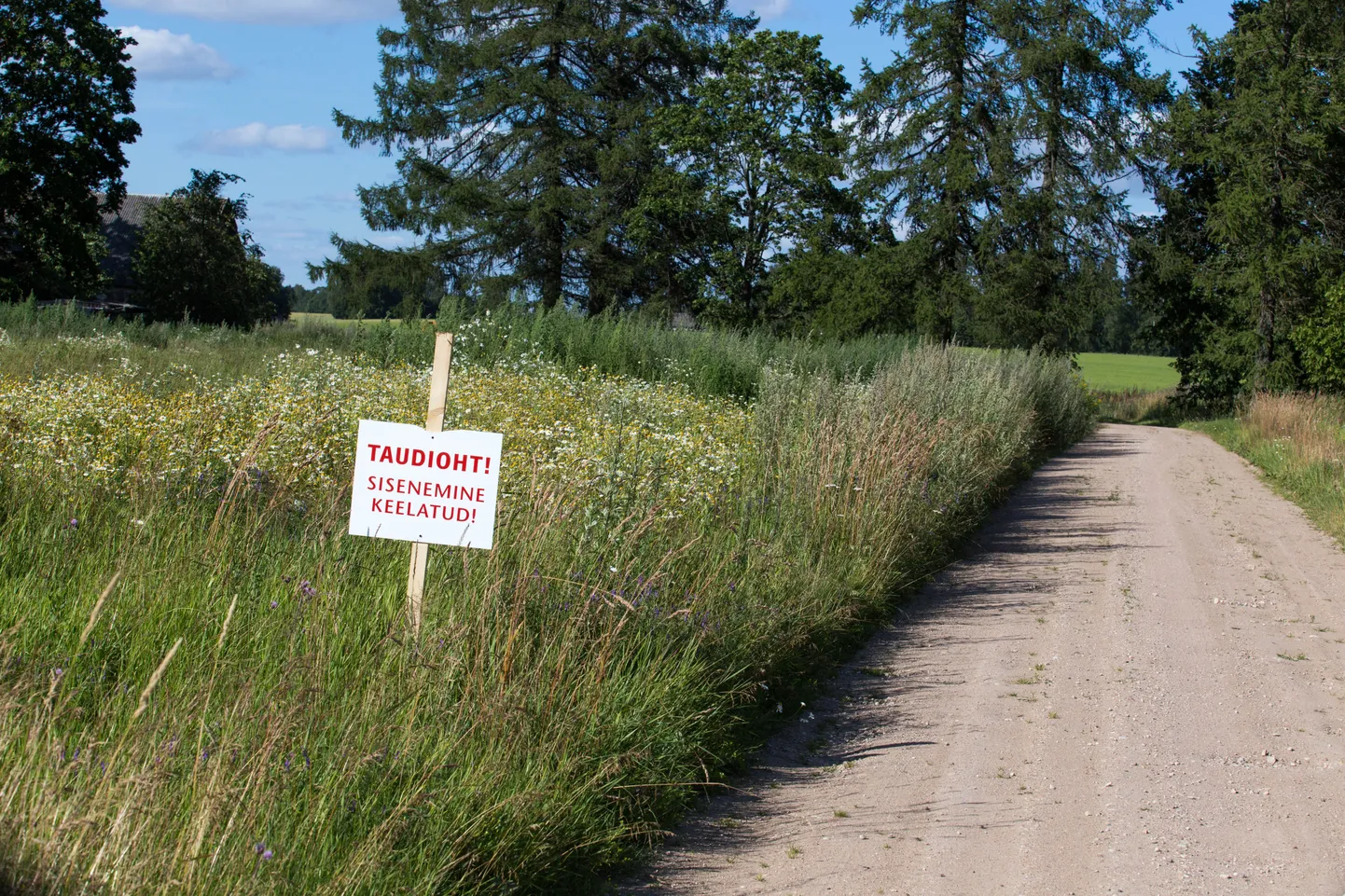 Seakatk levib endiselt.