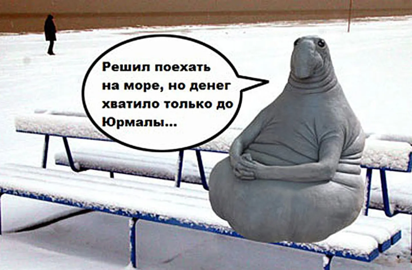 Фото статьи