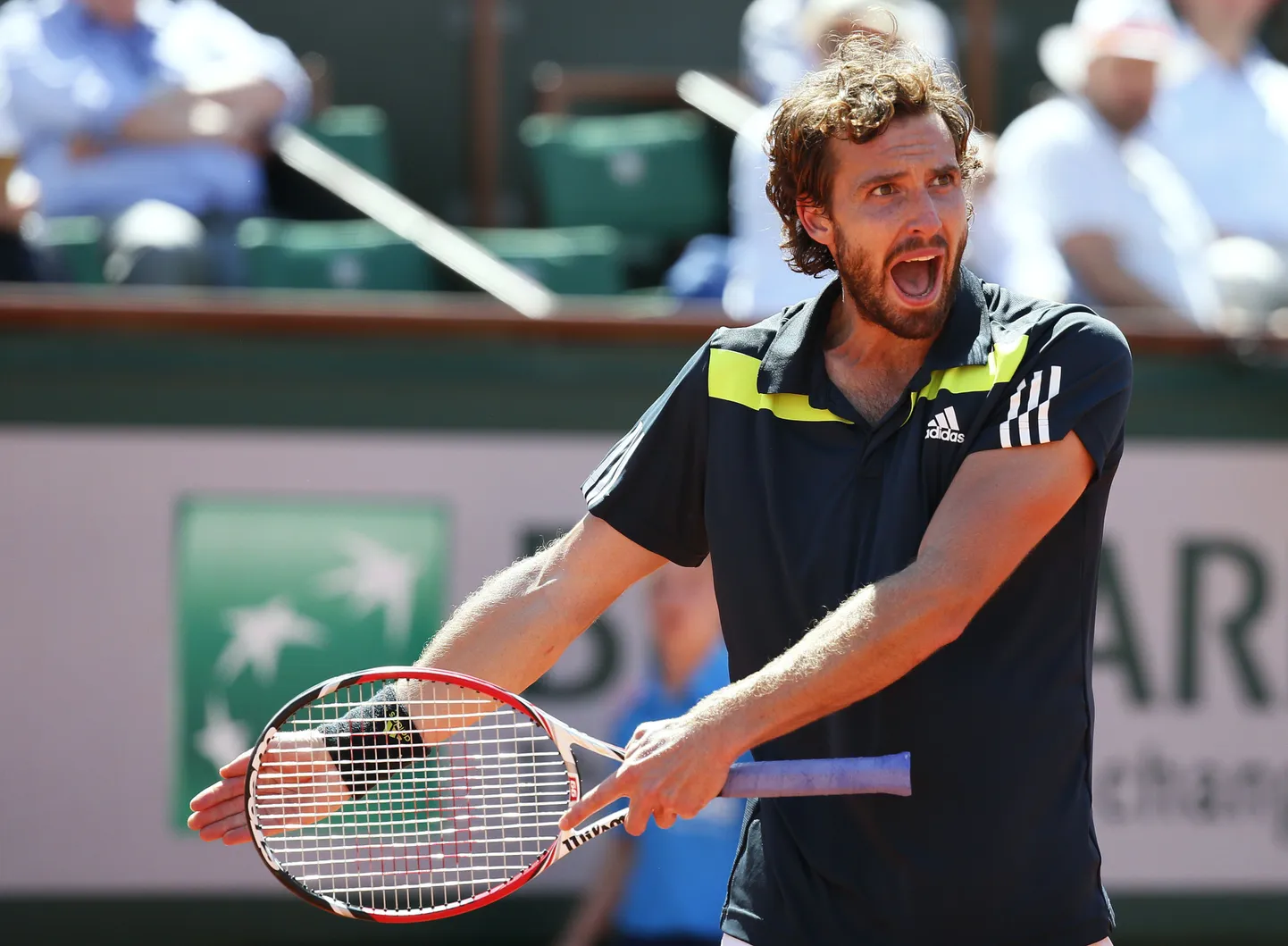Ernests Gulbis.