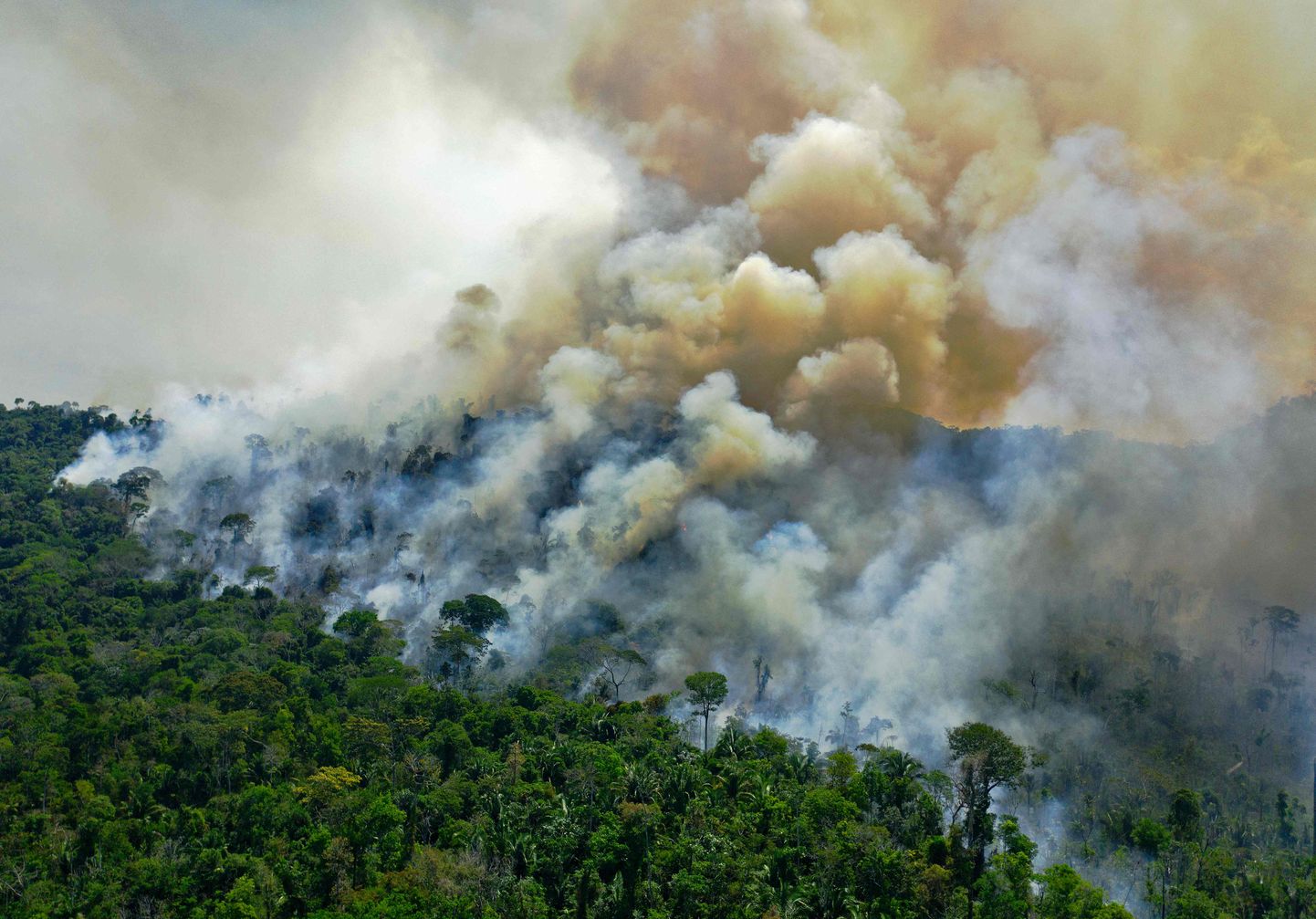 Põlev Amazonase vihmamets.