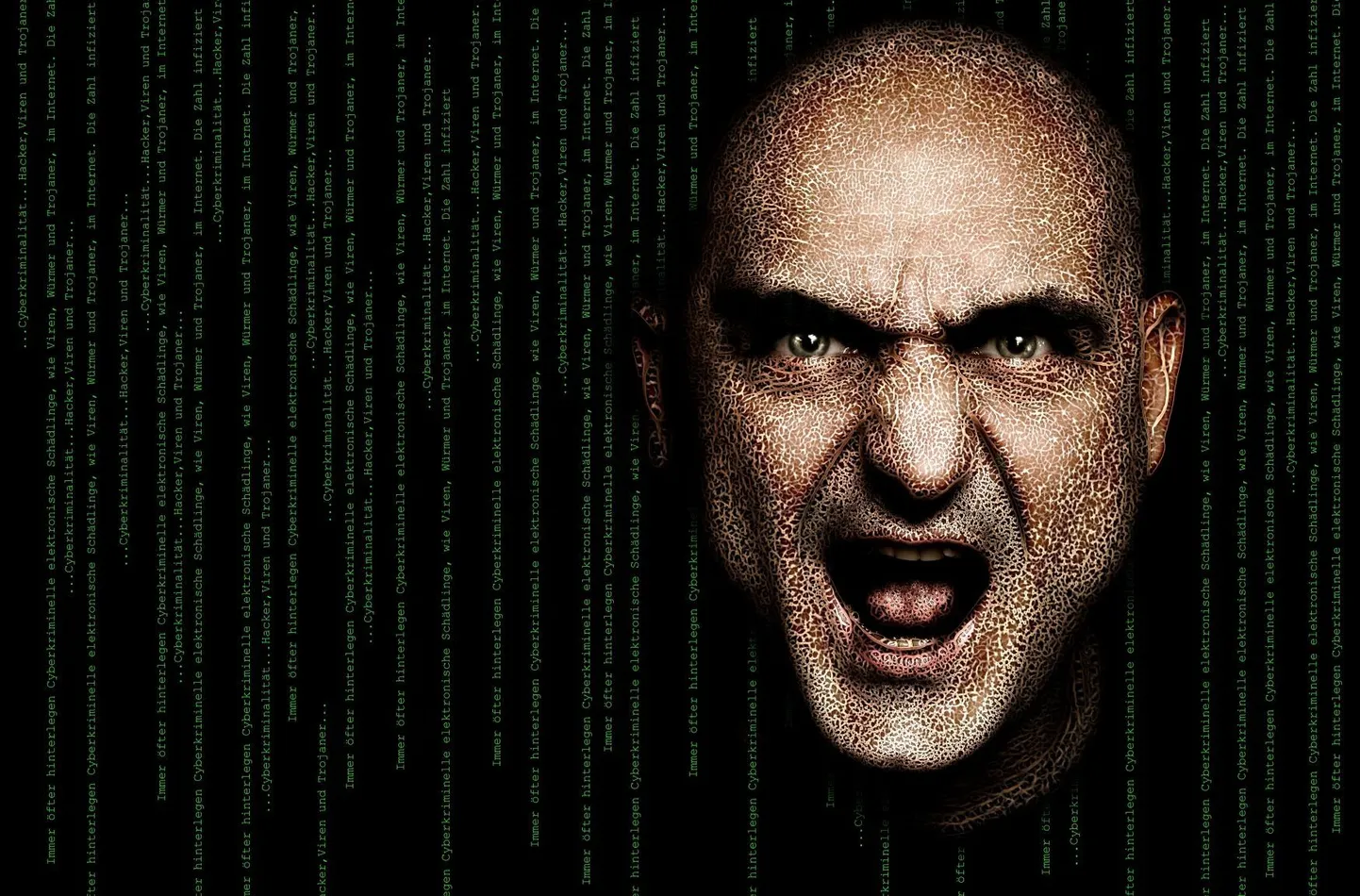 Artikli foto