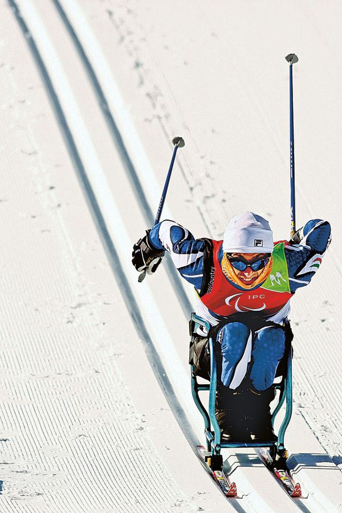 Символичный снимок, на котором итальянский лыжник на санях борется за олимпийскую медаль. Фотографии эстонца нет, поскольку у нас этот вид спорта не культивируется.
