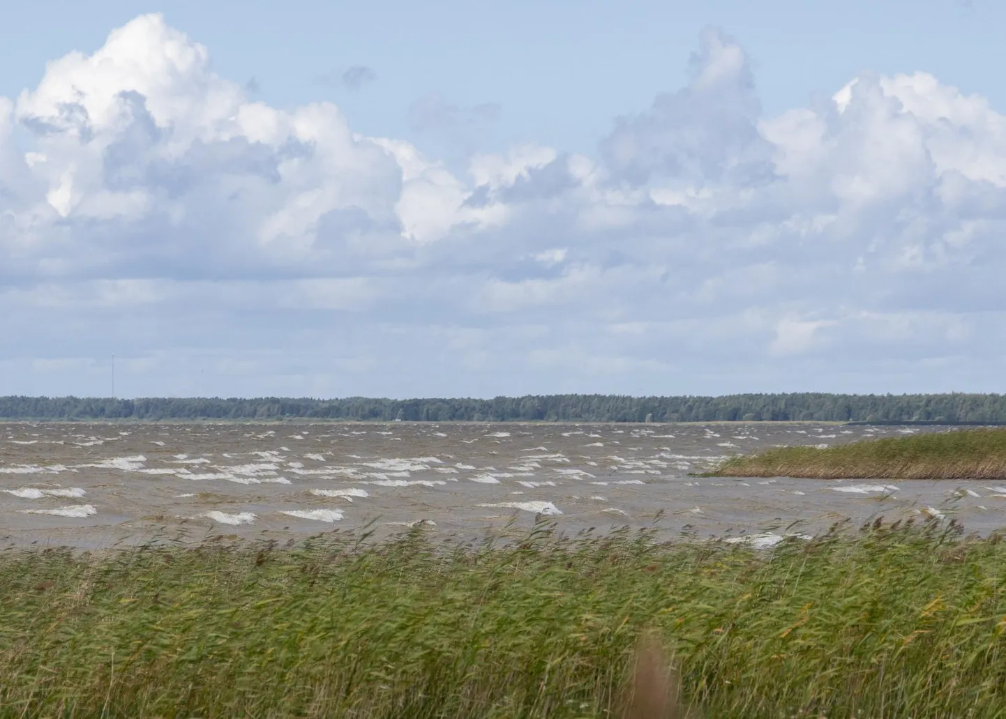 Võrtsjärv