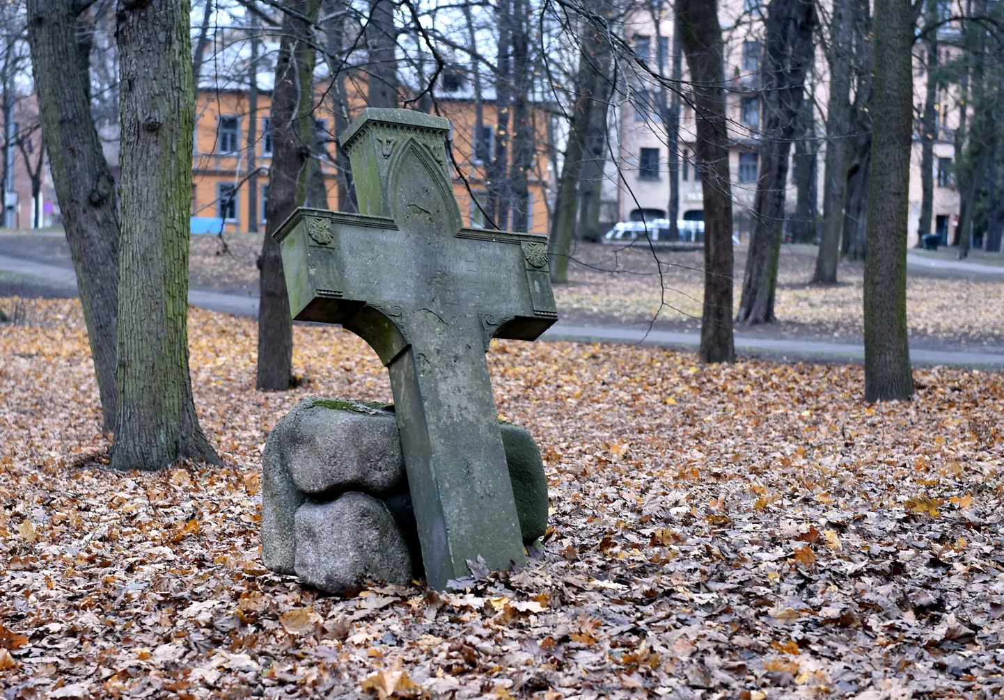 Raksta foto