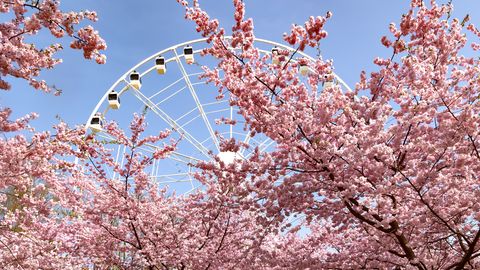 Otrdien sauli brīžiem aizklās mākoņi, pūtīs ziemeļu vējš