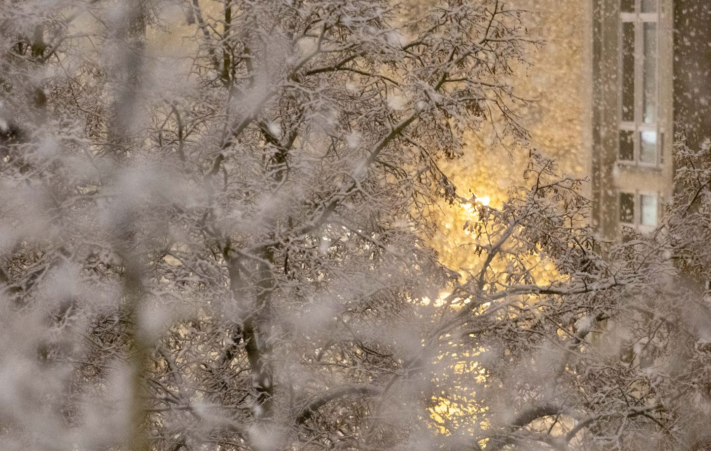 Зима в Тарту.