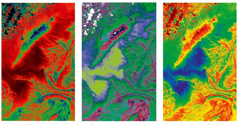 Tsüanobakterite õitseng Soome lahes. 30-meetrise ruumilise lahutusega valevärvipildid, mis on loodud NASA maakera seirava satelliidi EO-1 pildisensori Advanced Land Imageri andmetest.