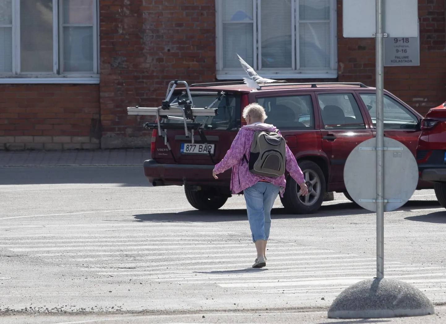 Viljandi kaubamaja ja endise mööblipoe vahel liikujad peavad arvestama, et vähemasti ühele tiirule see ei meeldi.