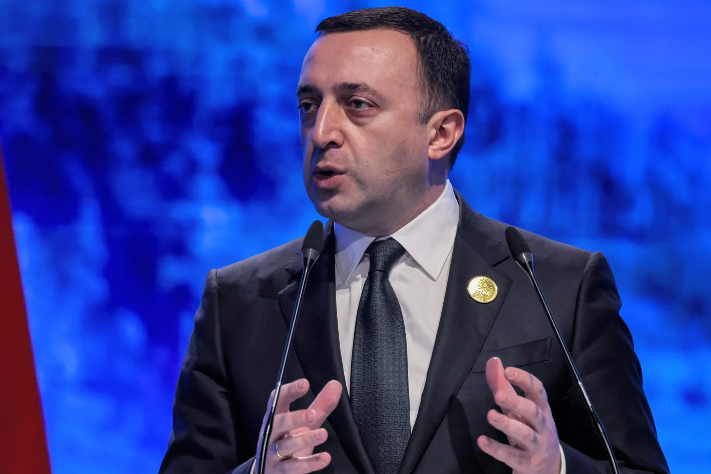 Gruusia peaminister Irakli Garibašvili.