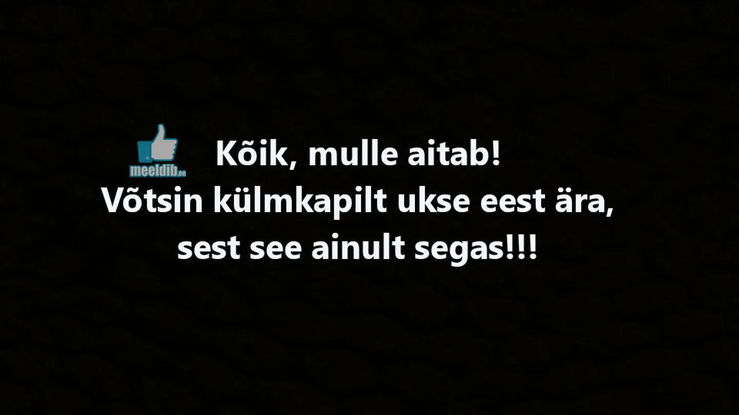 Artikli foto