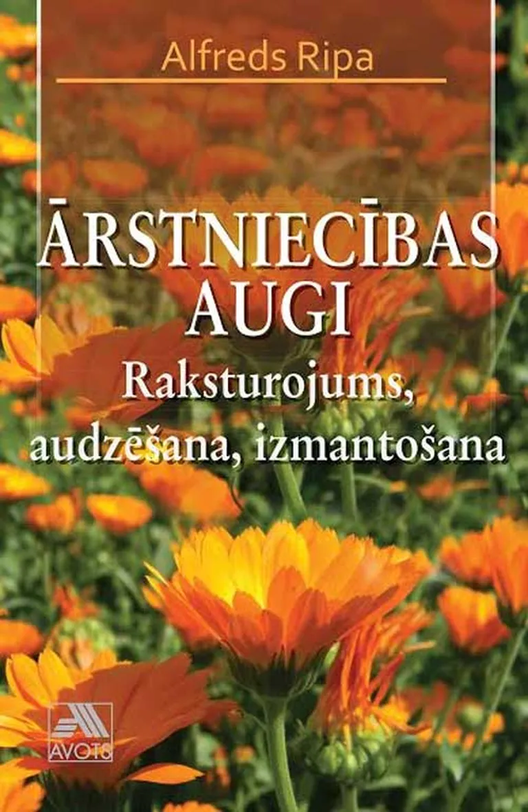 Raksta foto