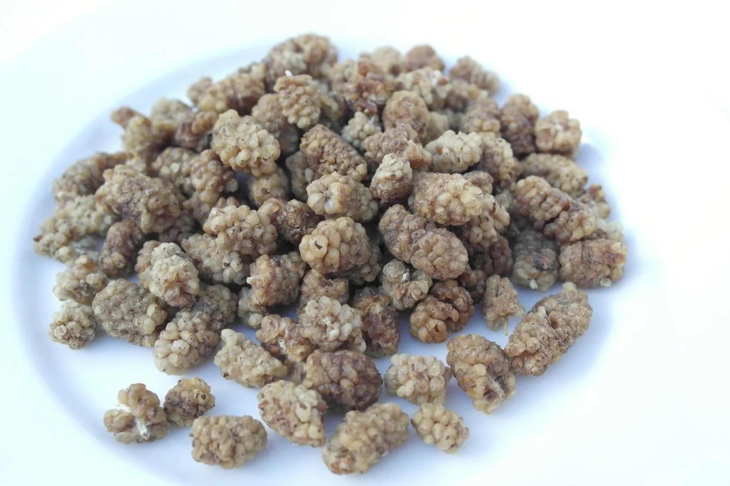 Mooruspuu marjad