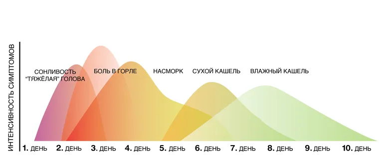 Фото статьи