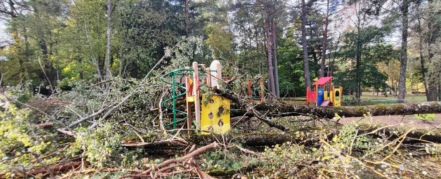 Самая популярная детская площадка в Нарва-Йыэсуу пришла в негодность из-за упавших деревьев. Весной вместо нее планируется установить новую детскую площадку.