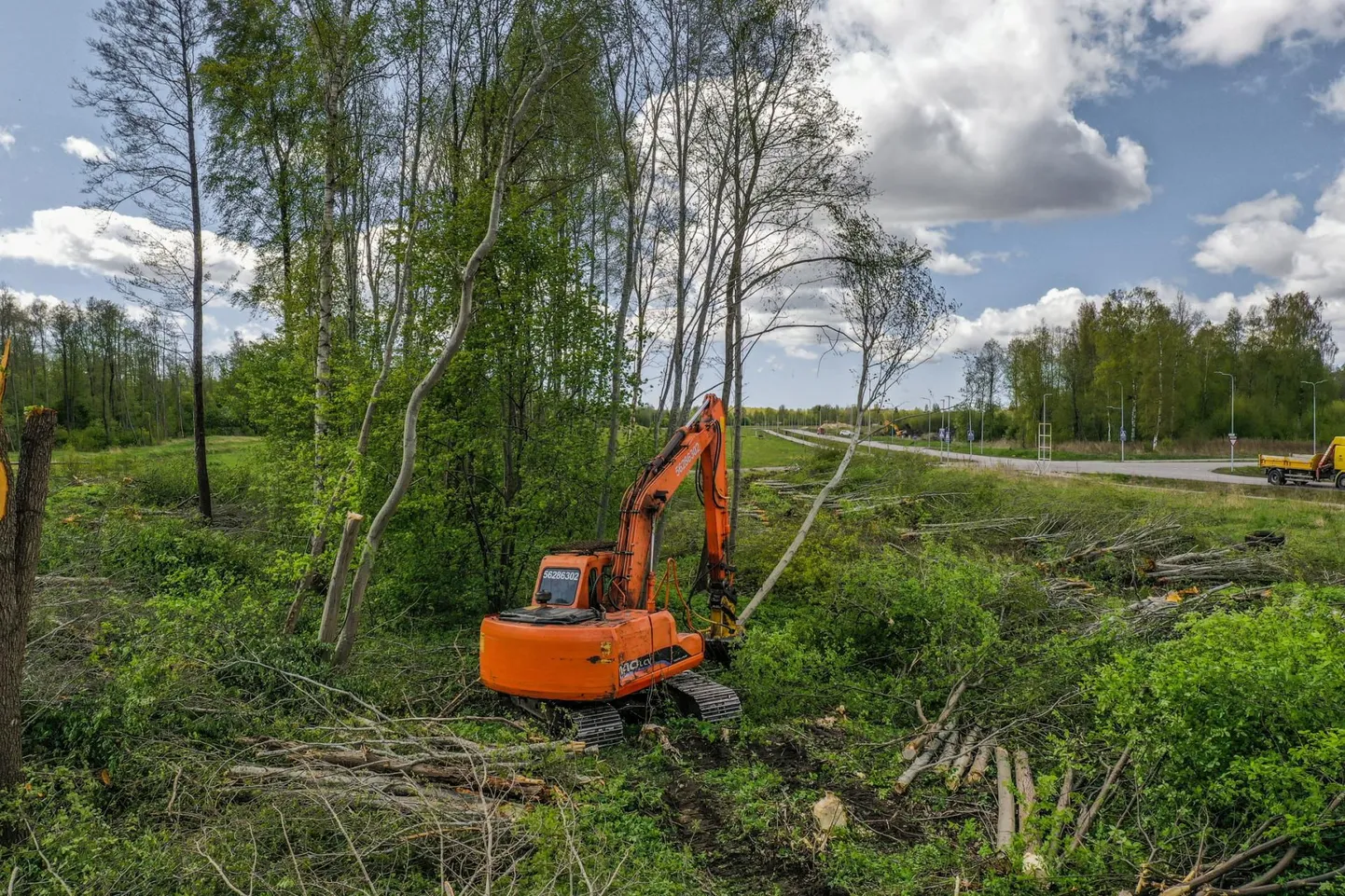 Võsa eemaldamine.