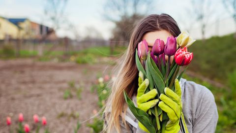 MINEVIKU VEAD ⟩ 7 peamist põhjust, miks su tulbid ei õitse