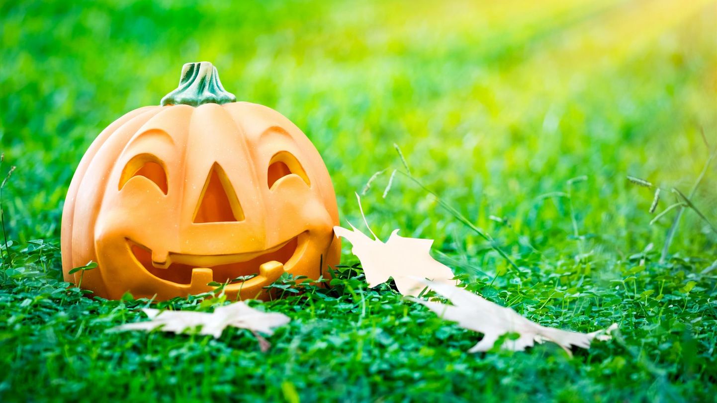 Terviseamet tuletab meelde, et halloweeni jooksmise puhul tuleb hoida nii distantsi kui hoida kontaktid lühiajalisena ning ust ei tohiks avada ei koroonaviirusesse nakatunud, nende lähikontaktsed ega ka haigusnähtudega või koroonaviiruse testi tulemust ootavad inimesed.