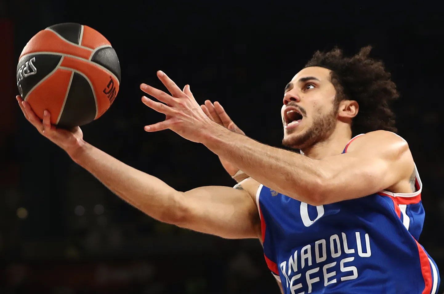Shane Larkin.