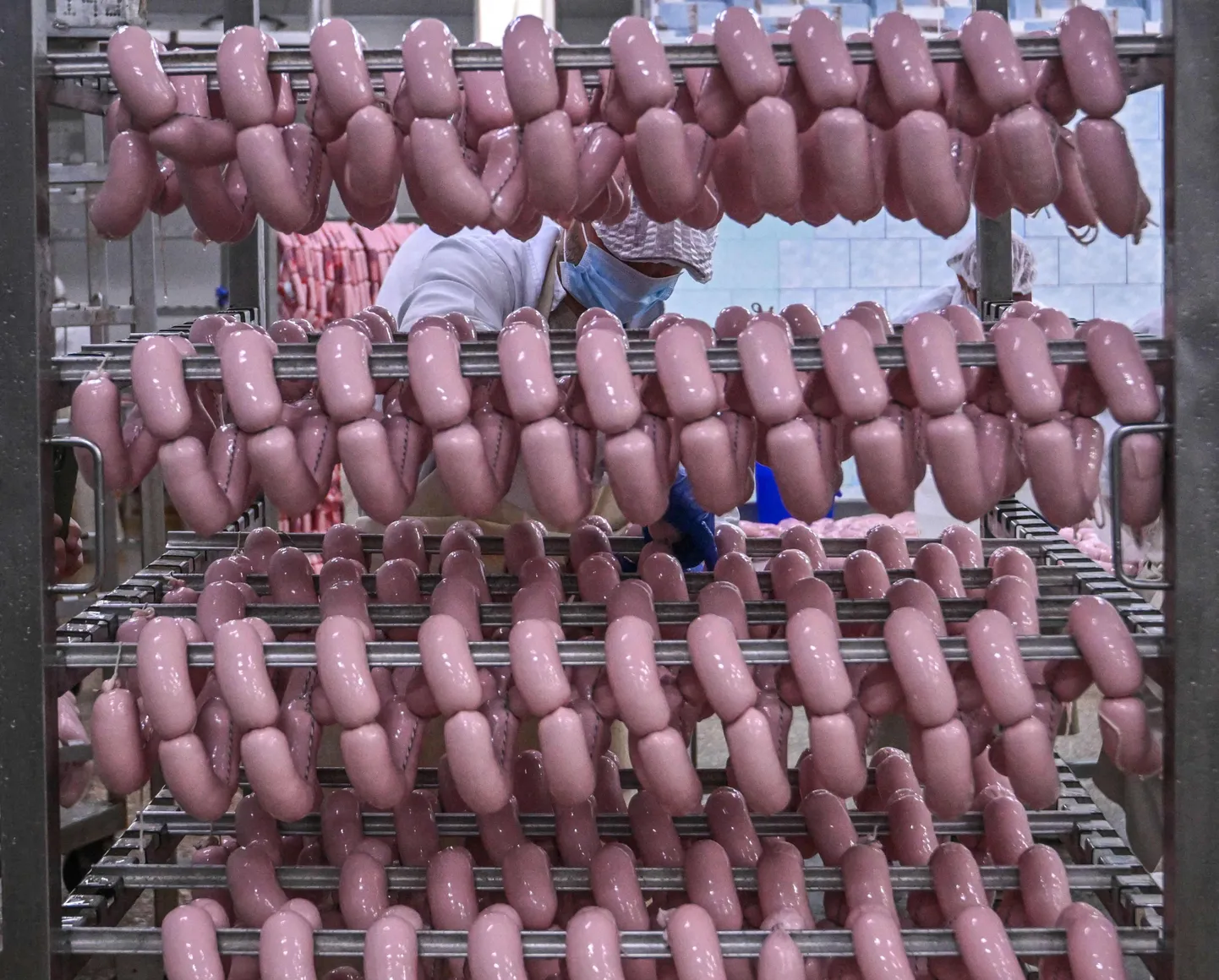 Berdjanski lihatöötlemistehas Ukrainas