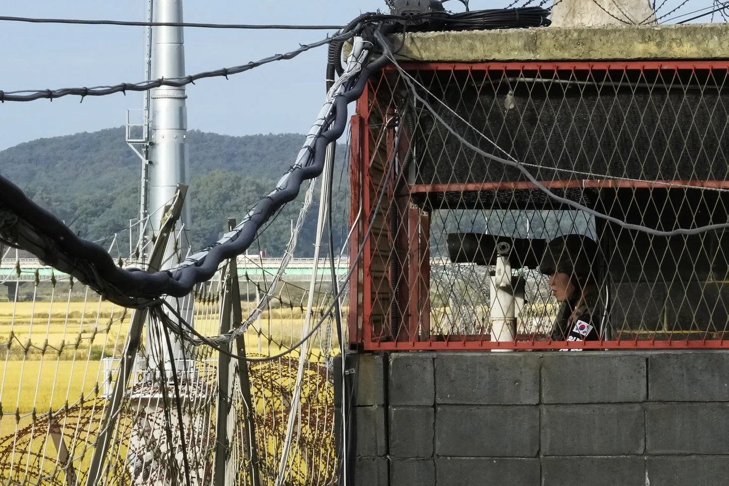 Raksta foto