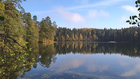 Sajuta ilm püsib ka neljapäeval, reedel kisub tormiks
