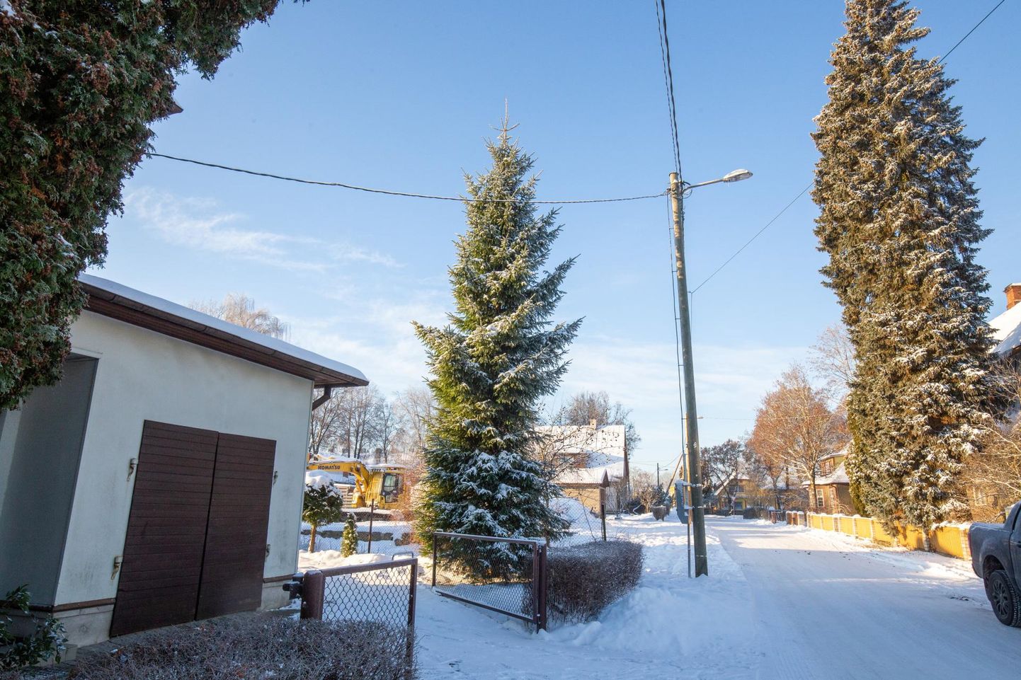 Viljandis Meeme tänaval kasvav viiemeetrine kuusk soovib selle omaniku Mare Hirve sõnul saada tänavu kellegi jõulupuuks.