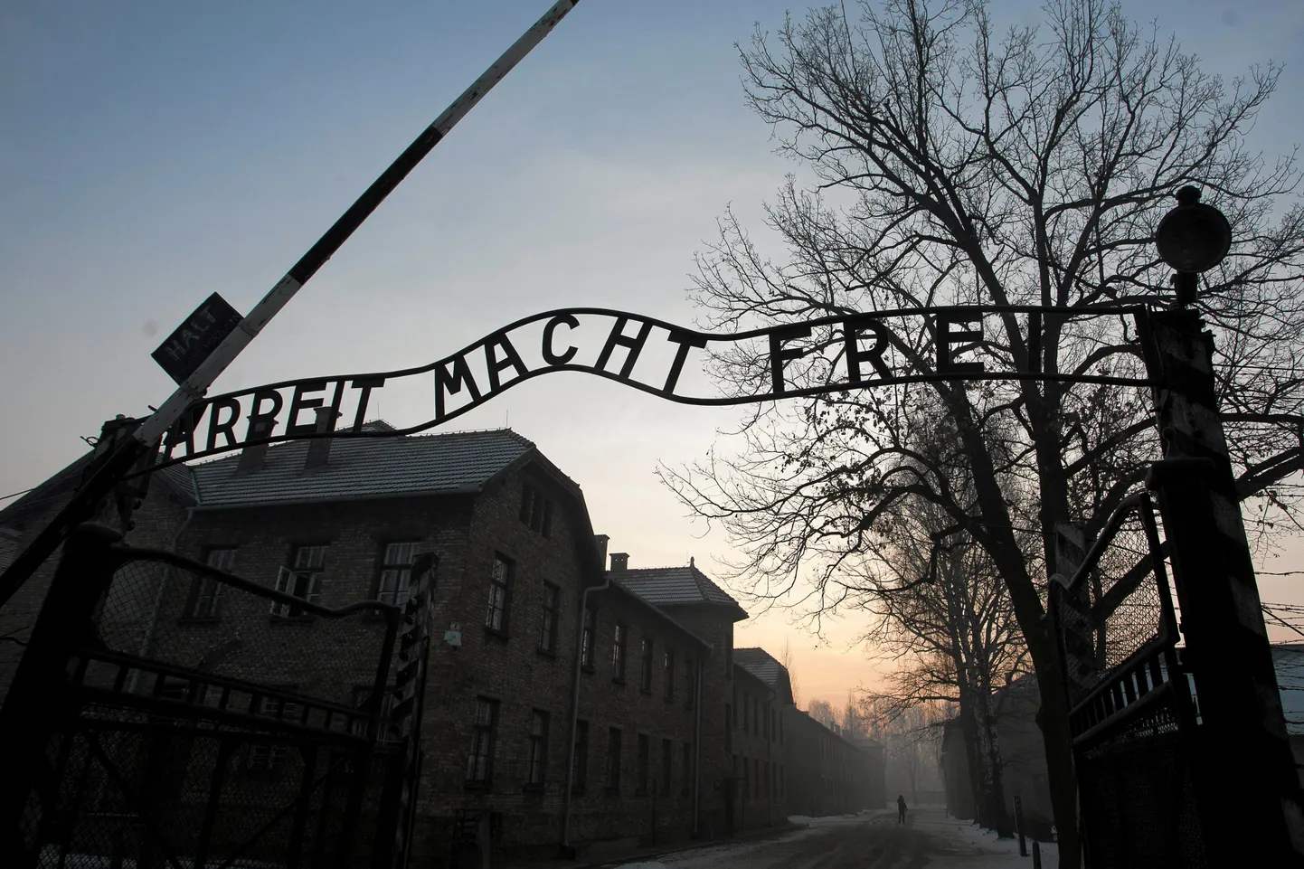 Auschwitzi surmalaager.