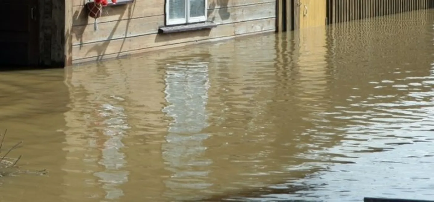 Raksta foto