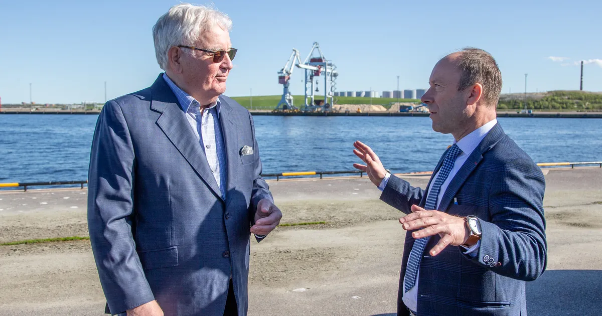 Natasha Korolevaning mushuki