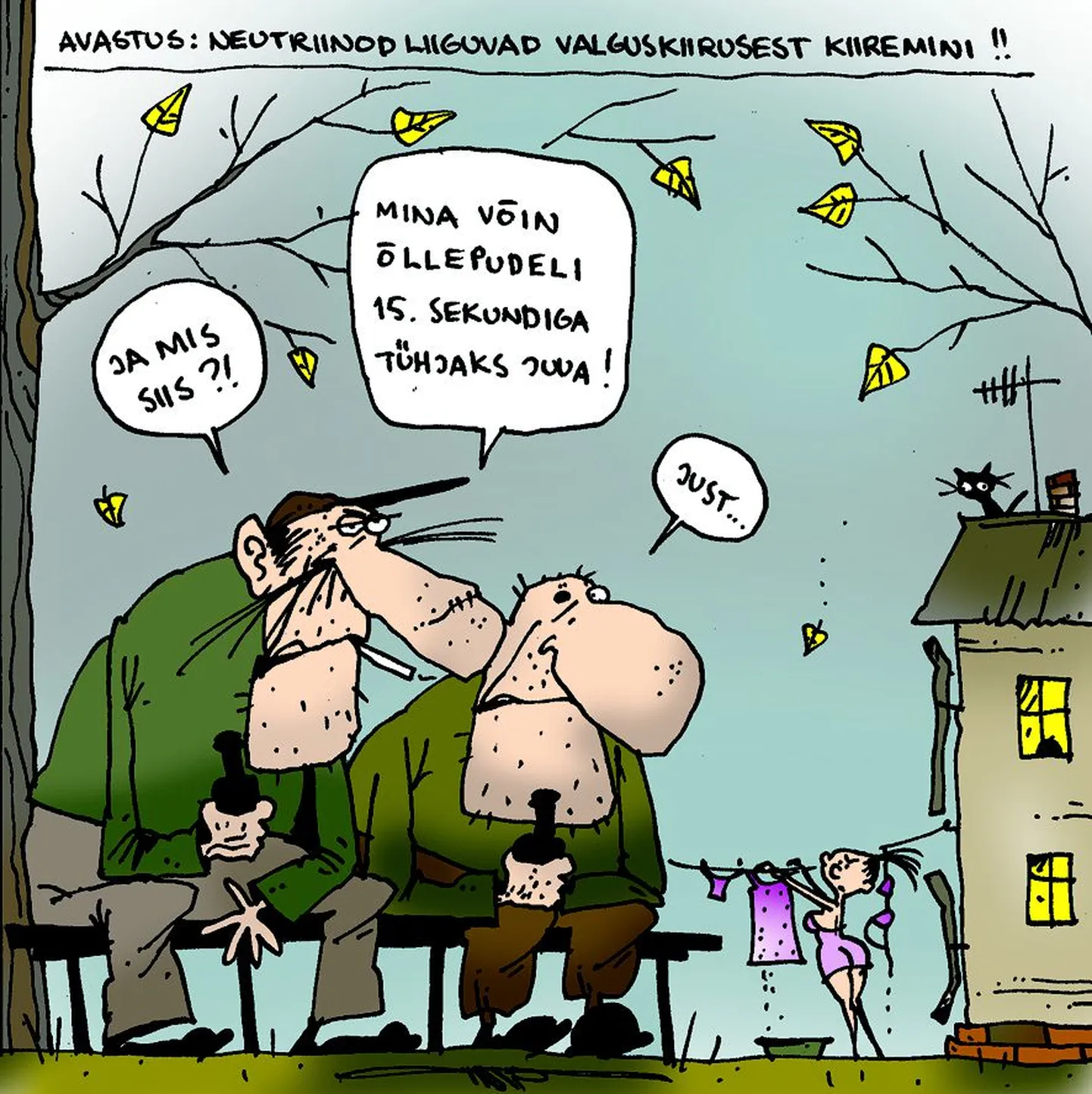 Artikli foto
