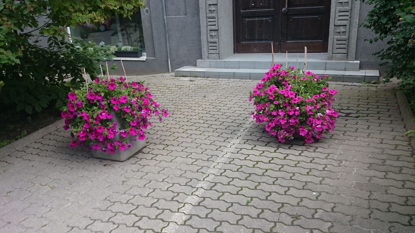 Lilleilu Tallinna kesklinnas.