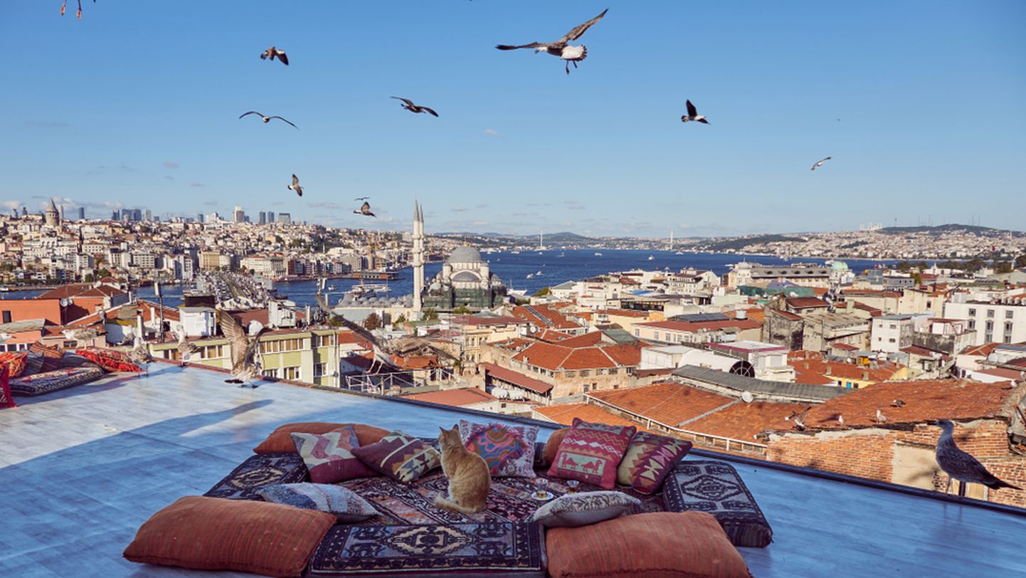 Стамбул. Фото иллюстративное.