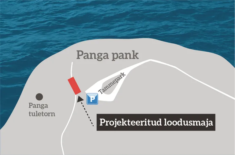 Tulevase loodusmaja asukoht Panga pangal