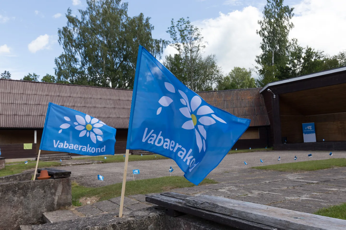 Свободная партия.