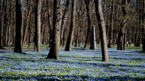 ГЛАВНОЕ ЗА 1 АПРЕЛЯ ⟩ Сниженный акциз на дизель, обломки дрона под Резекне и Трамп размышляет о выходе из НАТО